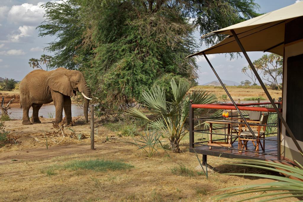 Villa Ashnil Samburu Camp à Archers Post Extérieur photo