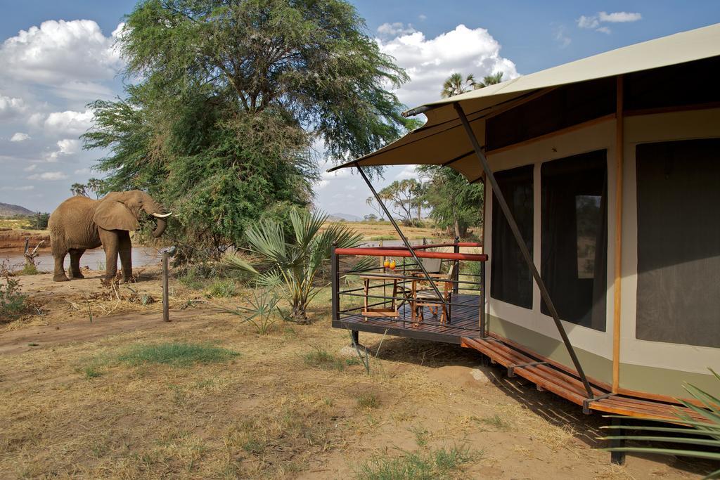 Villa Ashnil Samburu Camp à Archers Post Extérieur photo