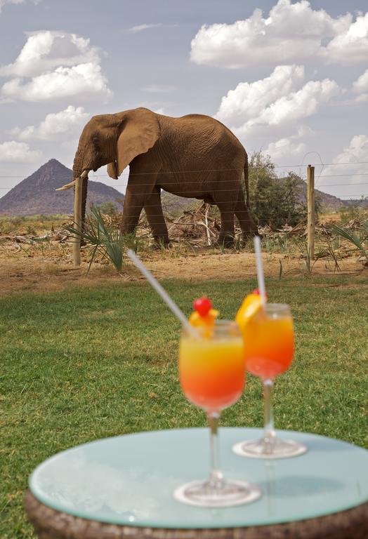 Villa Ashnil Samburu Camp à Archers Post Extérieur photo