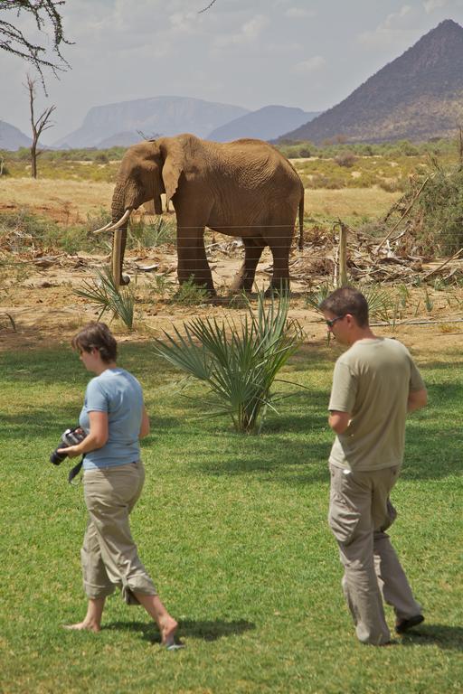 Villa Ashnil Samburu Camp à Archers Post Extérieur photo