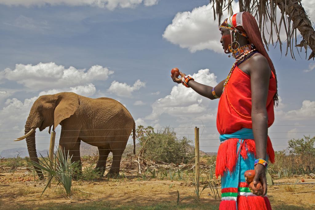 Villa Ashnil Samburu Camp à Archers Post Extérieur photo